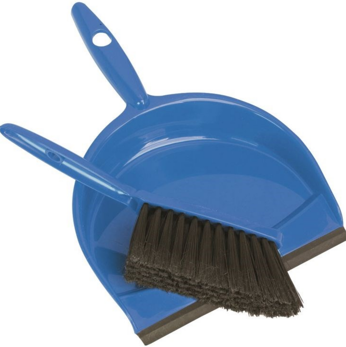 Blue Dustpan Set