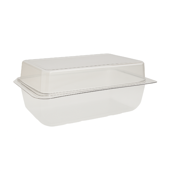 Rectangular Hinged Lid Cake Container 206x115x80mm (6x40)